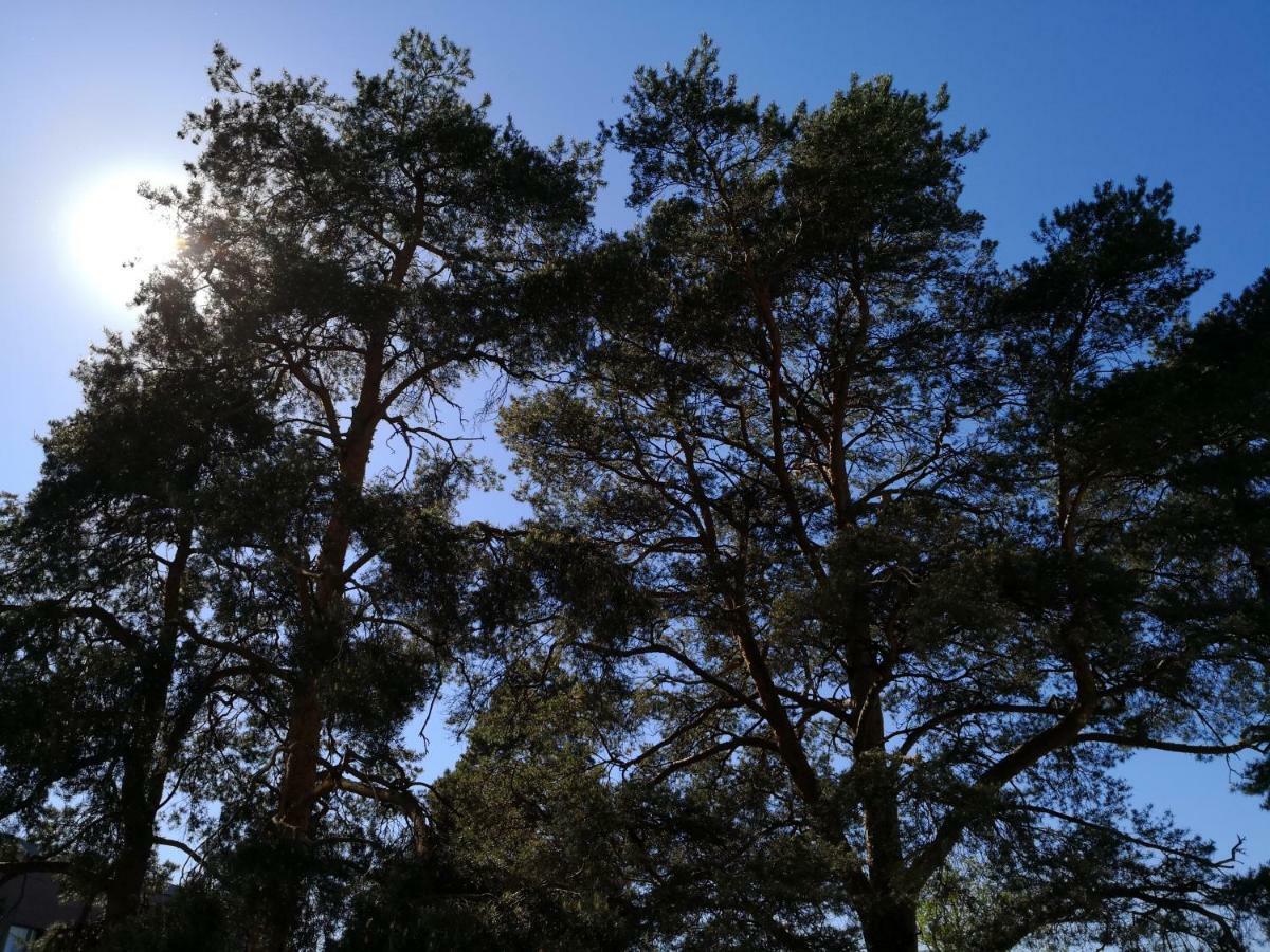Charming Pine View Apartment Vantaa Bagian luar foto